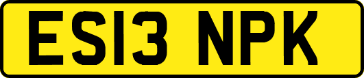 ES13NPK