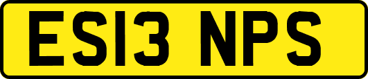ES13NPS