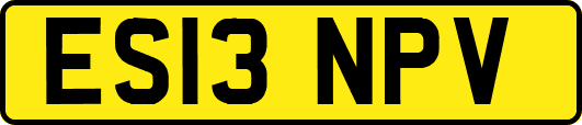 ES13NPV
