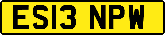 ES13NPW