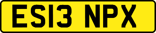 ES13NPX