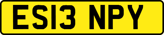 ES13NPY