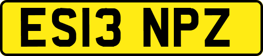 ES13NPZ