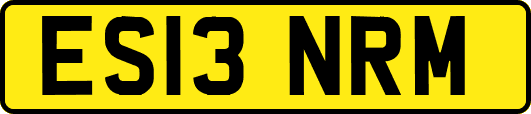ES13NRM