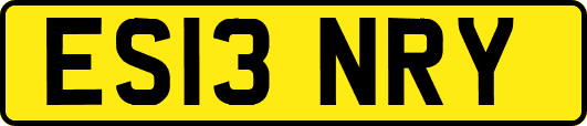 ES13NRY