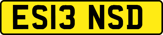 ES13NSD