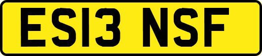 ES13NSF