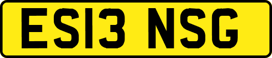 ES13NSG