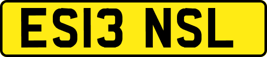 ES13NSL