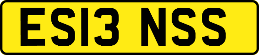 ES13NSS