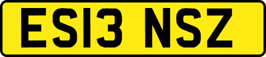 ES13NSZ