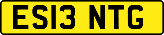 ES13NTG
