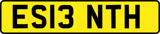 ES13NTH