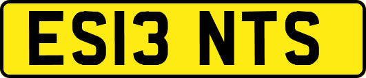 ES13NTS