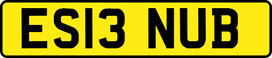 ES13NUB