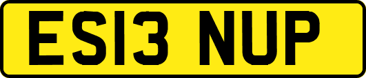 ES13NUP