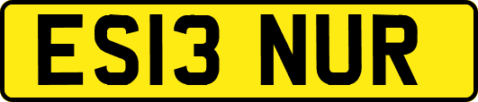 ES13NUR