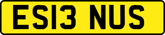 ES13NUS