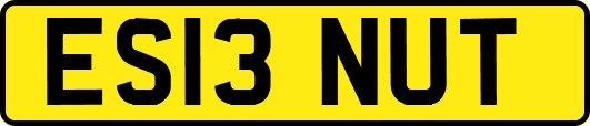 ES13NUT