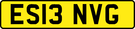 ES13NVG