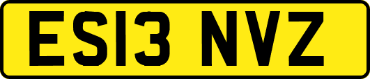 ES13NVZ
