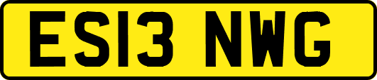 ES13NWG