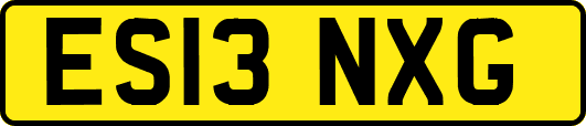 ES13NXG