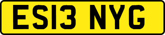 ES13NYG