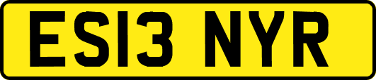ES13NYR