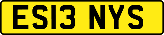 ES13NYS