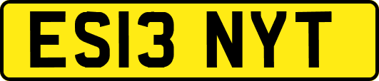 ES13NYT