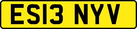 ES13NYV
