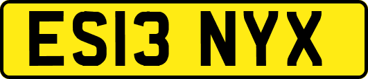 ES13NYX