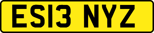 ES13NYZ