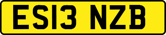 ES13NZB