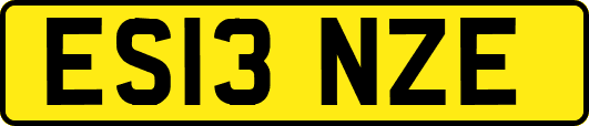ES13NZE