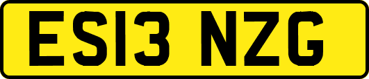 ES13NZG