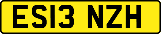 ES13NZH
