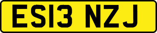 ES13NZJ