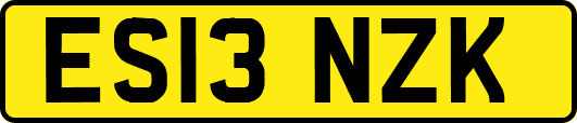 ES13NZK