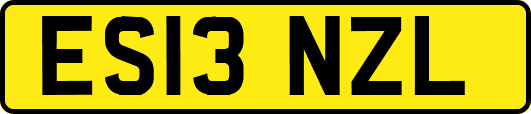 ES13NZL