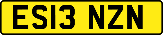 ES13NZN