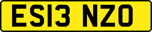 ES13NZO
