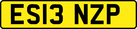 ES13NZP