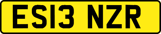 ES13NZR