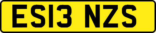 ES13NZS