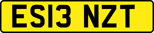 ES13NZT