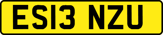 ES13NZU