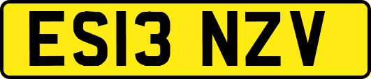 ES13NZV