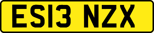 ES13NZX